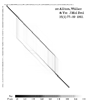 visualization of the probabilistic alignment plot of Chicken hemoglobin alpha and beta chains, CHKHBAM and CHKHBBM, J. Molec. Ecol., 35(1), pp.77-89, 1992