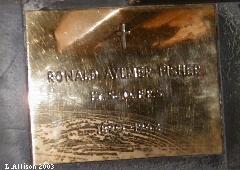 plaque